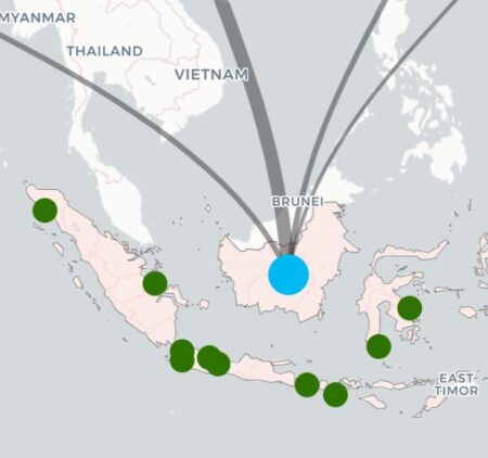 Map of coal finance flow paths in Indonesia